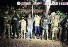 Detienen en Michoacán a tres presuntos extorsionadores de productores de limón