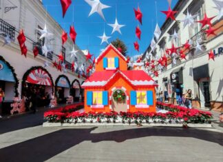 Toluca mantiene la celebración navideña con árbol monumental y pista de hielo gratuita