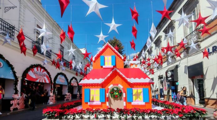 Toluca mantiene la celebración navideña con árbol monumental y pista de hielo gratuita