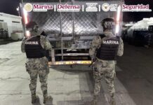 Fuerzas federales aseguran más de media tonelada de metanfetamina en el puerto de Mazatlán