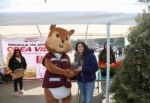 Inicia Tlalnepantla campaña de acopio y reciclaje de árboles de Navidad “Por un Municipio Verde”