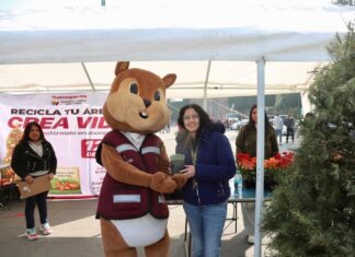 Inicia Tlalnepantla campaña de acopio y reciclaje de árboles de Navidad “Por un Municipio Verde”