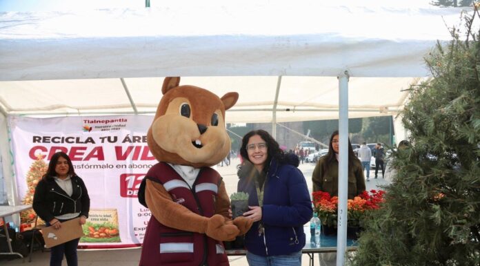 Inicia Tlalnepantla campaña de acopio y reciclaje de árboles de Navidad “Por un Municipio Verde”