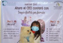 Con acompañamiento canino, Gobierno del EdoMéx reduce el estrés infantil durante tratamientos dentales