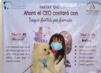Con acompañamiento canino, Gobierno del EdoMéx reduce el estrés infantil durante tratamientos dentales