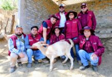 Gobierno del Estado de México atiende de manera inmediata primer caso de Gusano Barrenador del Ganado en la entidad