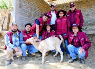 Gobierno del Estado de México atiende de manera inmediata primer caso de Gusano Barrenador del Ganado en la entidad