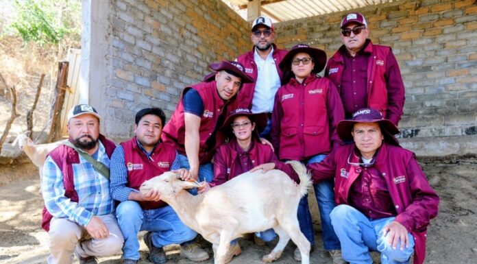 Gobierno del Estado de México atiende de manera inmediata primer caso de Gusano Barrenador del Ganado en la entidad