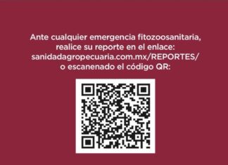 Refuerza Gobierno del Estado de México acciones preventivas contra el gusano barrenador tras caso en Tlatlaya