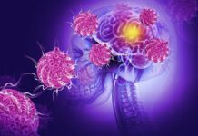 Alerta Global por Virus Nipah: ¿Estamos Frente a Una Nueva Amenaza Sanitaria?