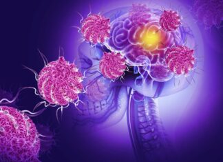 Alerta Global por Virus Nipah: ¿Estamos Frente a Una Nueva Amenaza Sanitaria?