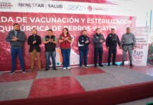 Gobierno de Naucalpan y GEM refuerzan bienestar comunitario y animal con jornadas de vacunación y esterilización