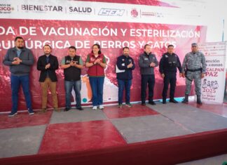 Gobierno de Naucalpan y GEM refuerzan bienestar comunitario y animal con jornadas de vacunación y esterilización