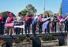 Avanza 28% la reconstrucción del Periférico Norte tras un mes de trabajos: Gobierno del Edoméx