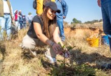 Por amor al medio ambiente, Tianguistenco se suma a jornada de reforestación