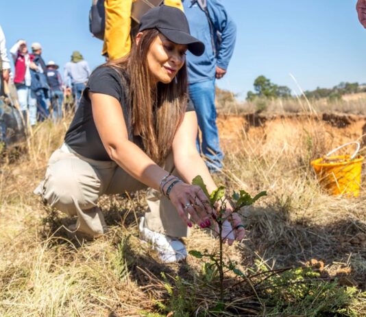 Por amor al medio ambiente, Tianguistenco se suma a jornada de reforestación