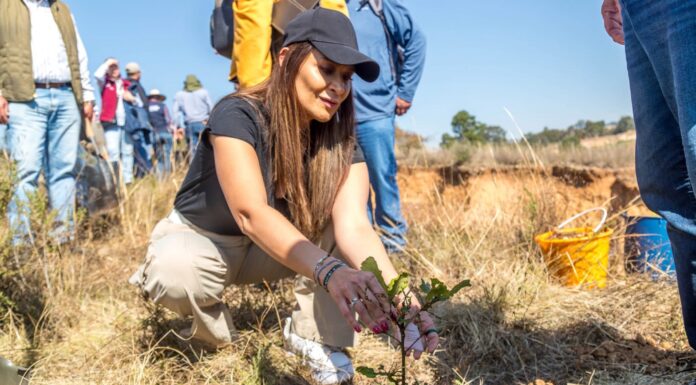 Por amor al medio ambiente, Tianguistenco se suma a jornada de reforestación