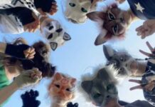 Therians: la tendencia viral que sorprende en redes… personas que aseguran sentirse animales reales