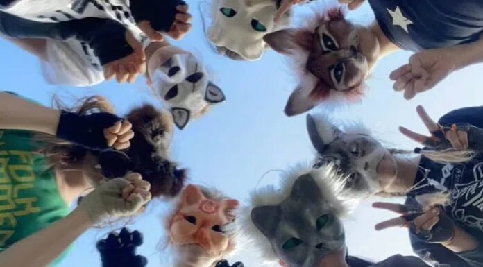 Therians: la tendencia viral que sorprende en redes… personas que aseguran sentirse animales reales