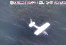 Aseguran más de media tonelada de cocaína tras detectar aeronave clandestina en Oaxaca