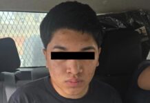 Detienen en Ecatepec a joven que transportaba restos de fauna silvestre en transporte público