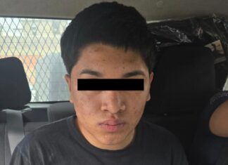 Detienen en Ecatepec a joven que transportaba restos de fauna silvestre en transporte público