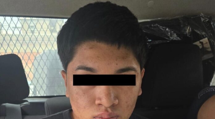 Detienen en Ecatepec a joven que transportaba restos de fauna silvestre en transporte público