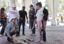 Ecatepec rompe récord con más de mil 200 esterilizaciones durante la Semana de Bienestar Animal