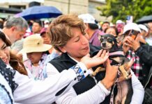 Edoméx aprueba histórica Ley de Bienestar Animal; multas de hasta 35 mil pesos por maltrato