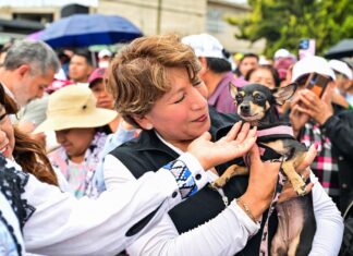 Edoméx aprueba histórica Ley de Bienestar Animal; multas de hasta 35 mil pesos por maltrato