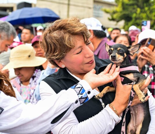 Edoméx aprueba histórica Ley de Bienestar Animal; multas de hasta 35 mil pesos por maltrato