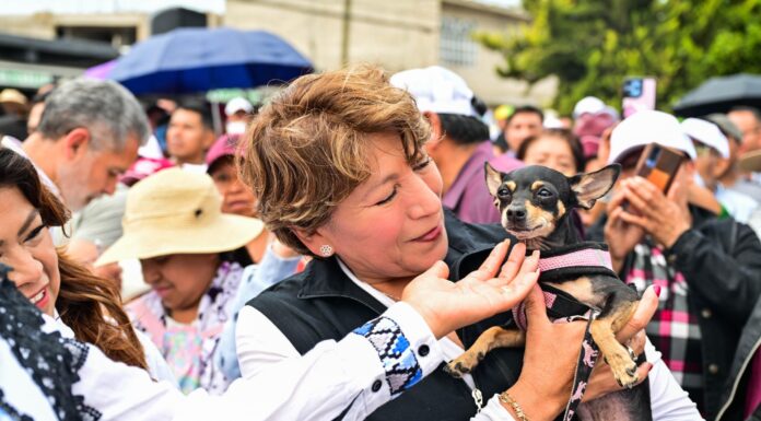 Edoméx aprueba histórica Ley de Bienestar Animal; multas de hasta 35 mil pesos por maltrato