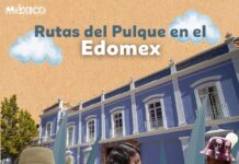 Invitan a recorrer rutas pulqueras del Estado de México y reconectar con la tradición ancestral