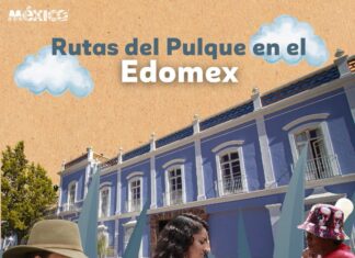 Invitan a recorrer rutas pulqueras del Estado de México y reconectar con la tradición ancestral