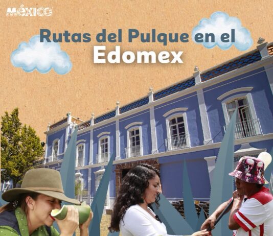 Invitan a recorrer rutas pulqueras del Estado de México y reconectar con la tradición ancestral