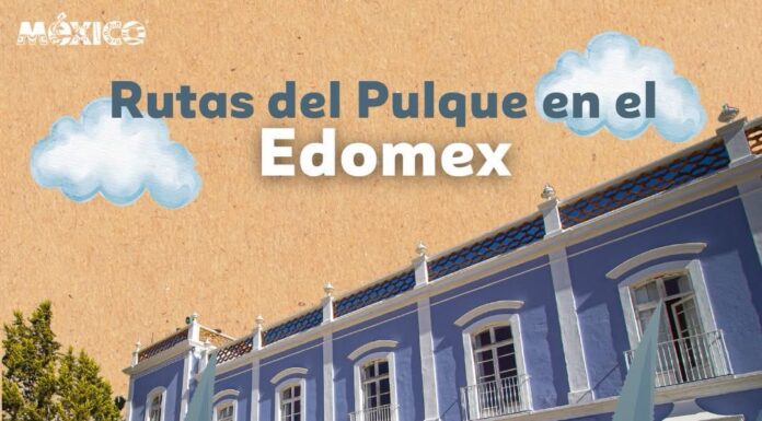 Invitan a recorrer rutas pulqueras del Estado de México y reconectar con la tradición ancestral