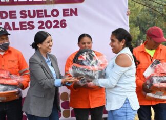 Donato Guerra fortalece el cuidado de sus bosques con brigadas de saneamiento forestal