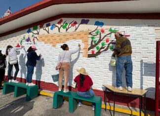 Escuelas y espacios públicos de Toluca reciben jornadas de rehabilitación y embellecimiento