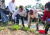 Encabeza Delfina Gómez jornada de limpieza en Periférico Norte para prevenir afectaciones por lluvias