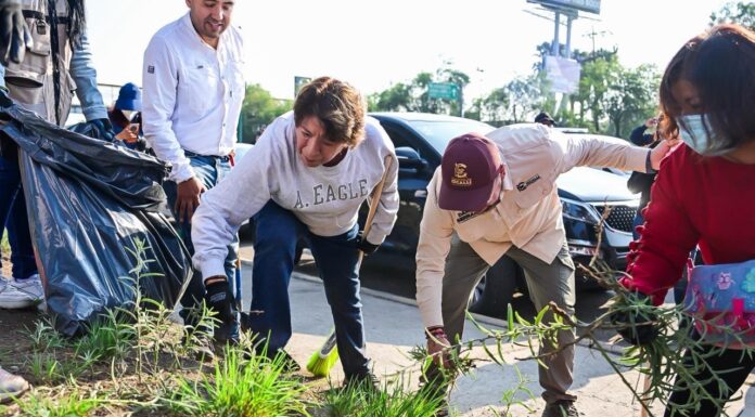 Encabeza Delfina Gómez jornada de limpieza en Periférico Norte para prevenir afectaciones por lluvias