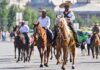 Estado de México aprueba nueva Ley de Bienestar Animal; prohíbe maltrato y experimentación en educación básica
