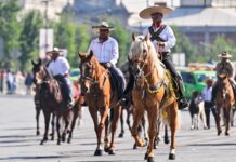 Estado de México aprueba nueva Ley de Bienestar Animal; prohíbe maltrato y experimentación en educación básica