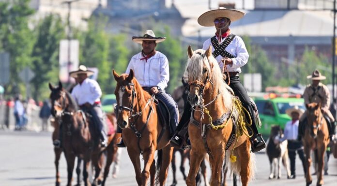 Estado de México aprueba nueva Ley de Bienestar Animal; prohíbe maltrato y experimentación en educación básica
