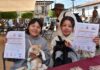 EdoMéx crea Registro Único obligatorio para animales de compañía; será gratuito y pionero a nivel nacional