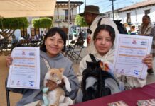 EdoMéx crea Registro Único obligatorio para animales de compañía; será gratuito y pionero a nivel nacional