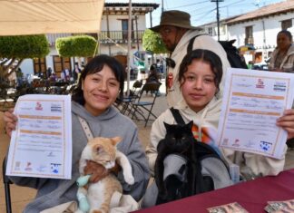 EdoMéx crea Registro Único obligatorio para animales de compañía; será gratuito y pionero a nivel nacional