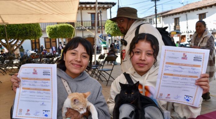 EdoMéx crea Registro Único obligatorio para animales de compañía; será gratuito y pionero a nivel nacional