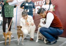 Nezahualcóyotl se suma a estrategia estatal CERA para el bienestar animal