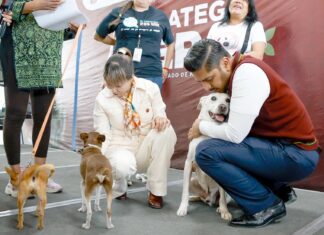 Nezahualcóyotl se suma a estrategia estatal CERA para el bienestar animal