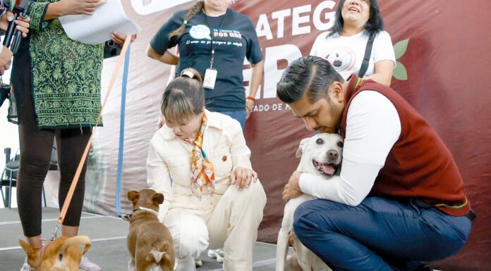 Nezahualcóyotl se suma a estrategia estatal CERA para el bienestar animal